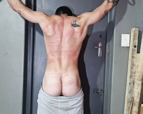 Mr Muscles