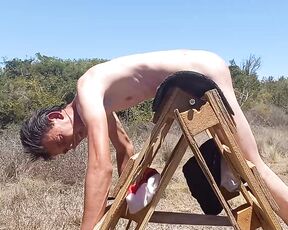 Stix Christmas Caning