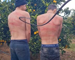 Caleb and Colton Bullwhip