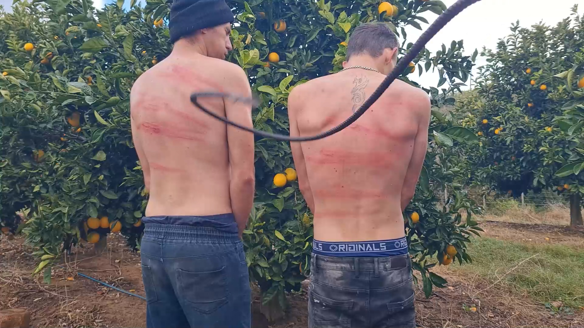 Caleb and Colton Bullwhip